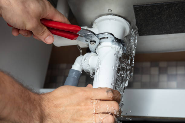 Best Local water damage restoration  in Avenue B And C, AZ