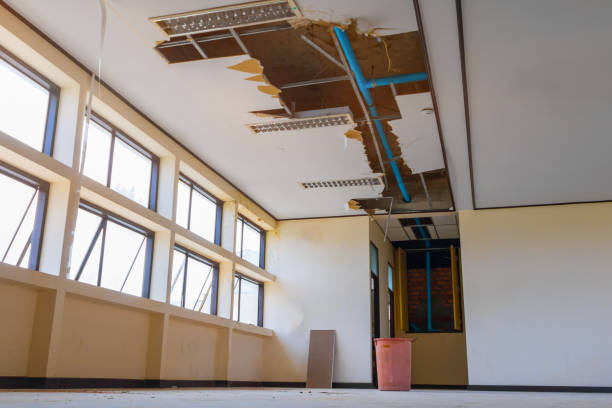 Best Water damage restoration near me  in Avenue B And C, AZ