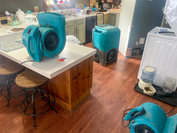 Best Sewage cleanup and water damage restoration  in Avenue B And C, AZ