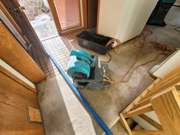 Best 24/7 water damage repair  in Avenue B And C, AZ