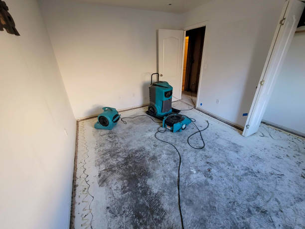 Best Water damage restoration near me  in Avenue B And C, AZ