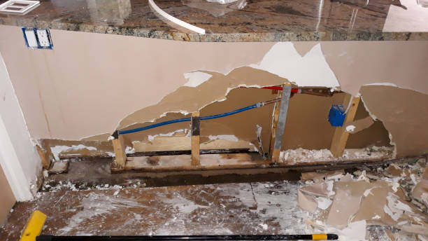 Best Water damage contractors near me  in Avenue B And C, AZ