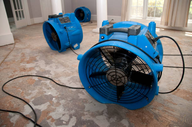 Best Residential water damage restoration  in Avenue B And C, AZ