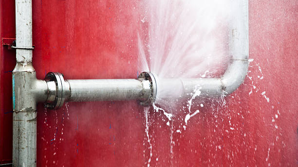 Best Professional water damage repair  in Avenue B And C, AZ