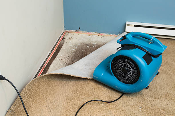 Best Fire Damage Restoration  in Avenue B And C, AZ